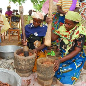 8oz. Premium Fair Trade Organic Raw Virgin Ivory Shea Butter (Karite) Traditionally Handcrafted in Ghana, West Africa